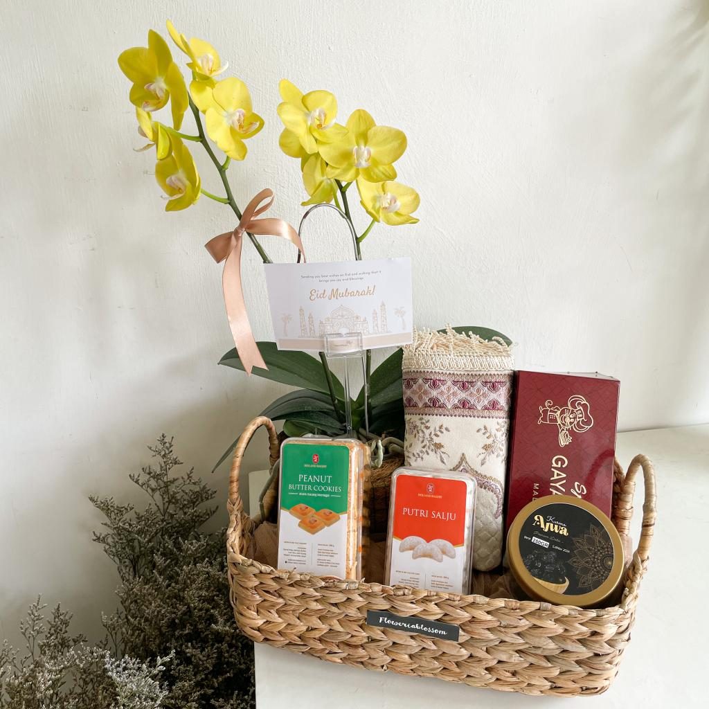 Djamila Hampers view 4