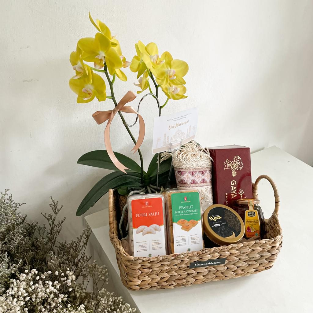 Djamila Hampers view 5