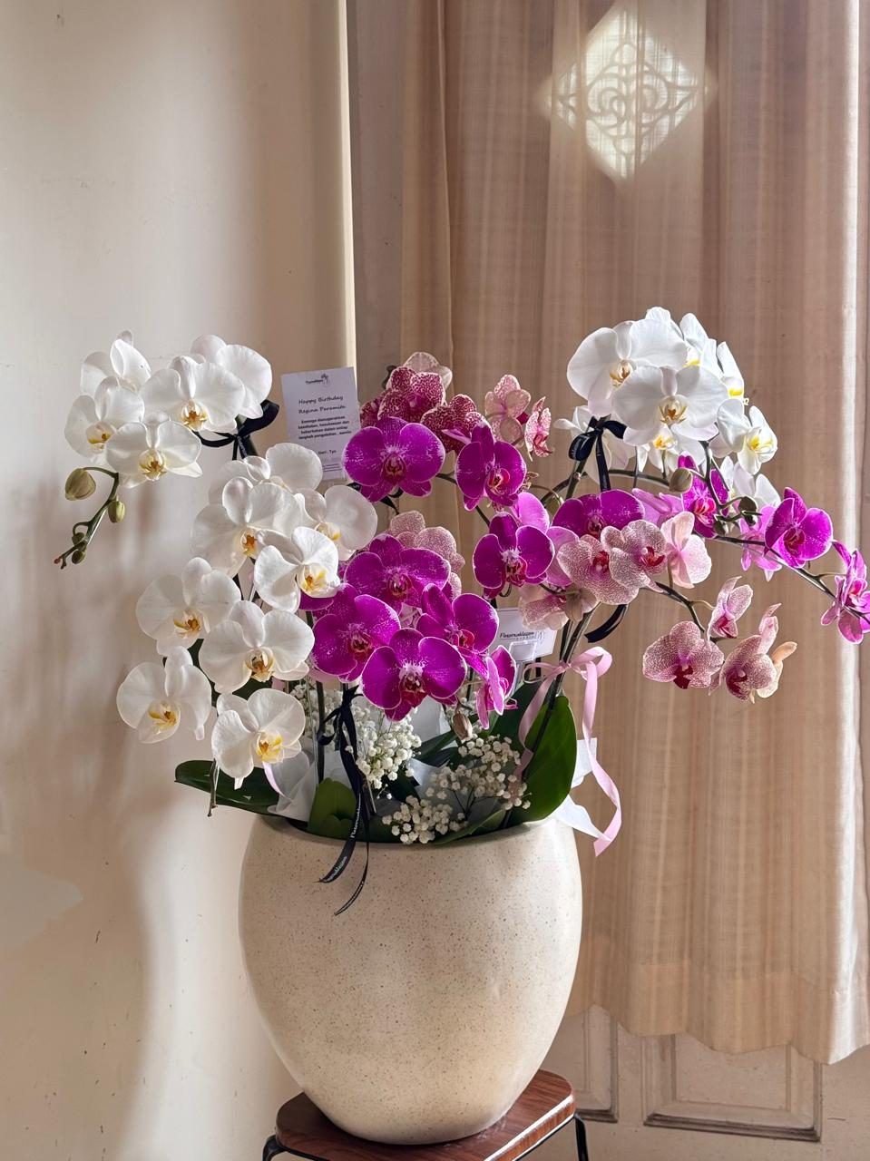 Orchid plant 10 stems bouquet